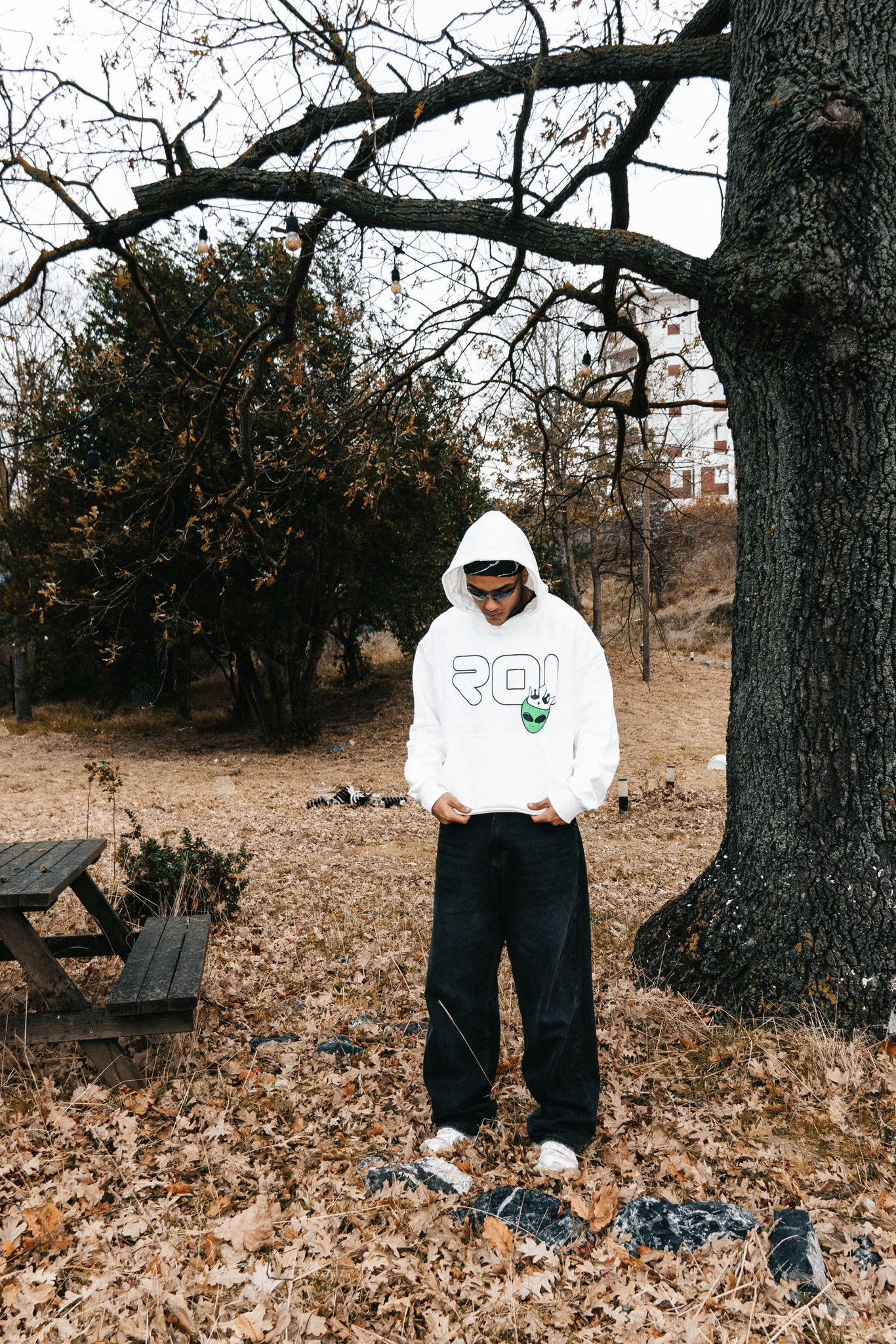 Alien Premium Hoodie