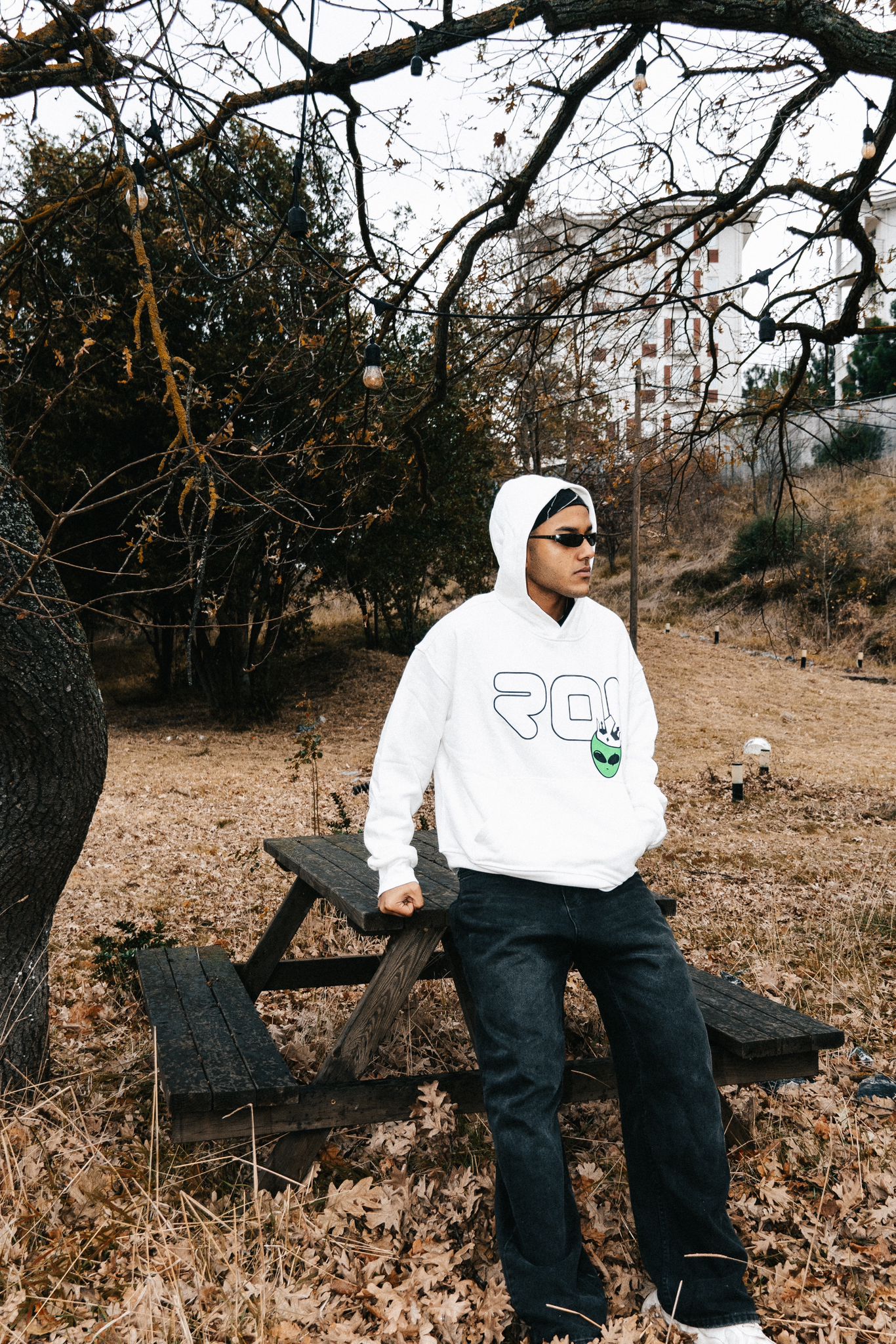 Alien Premium Hoodie